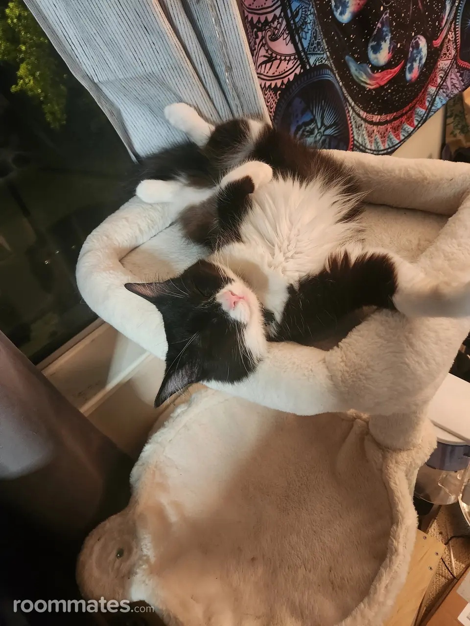 Profile photo 2 of 7