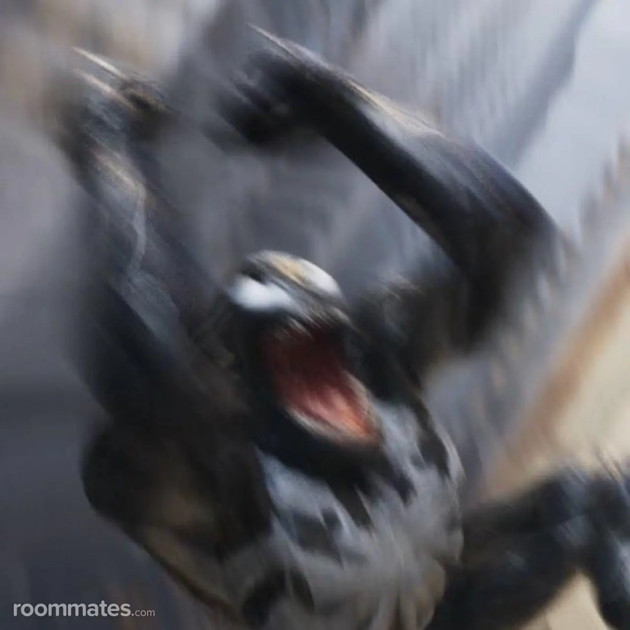 Profile photo 7 of 7