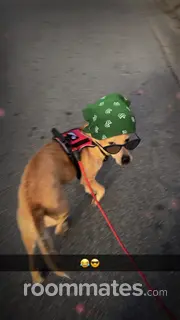 Roommate looking Pensacola Station, FL, $900