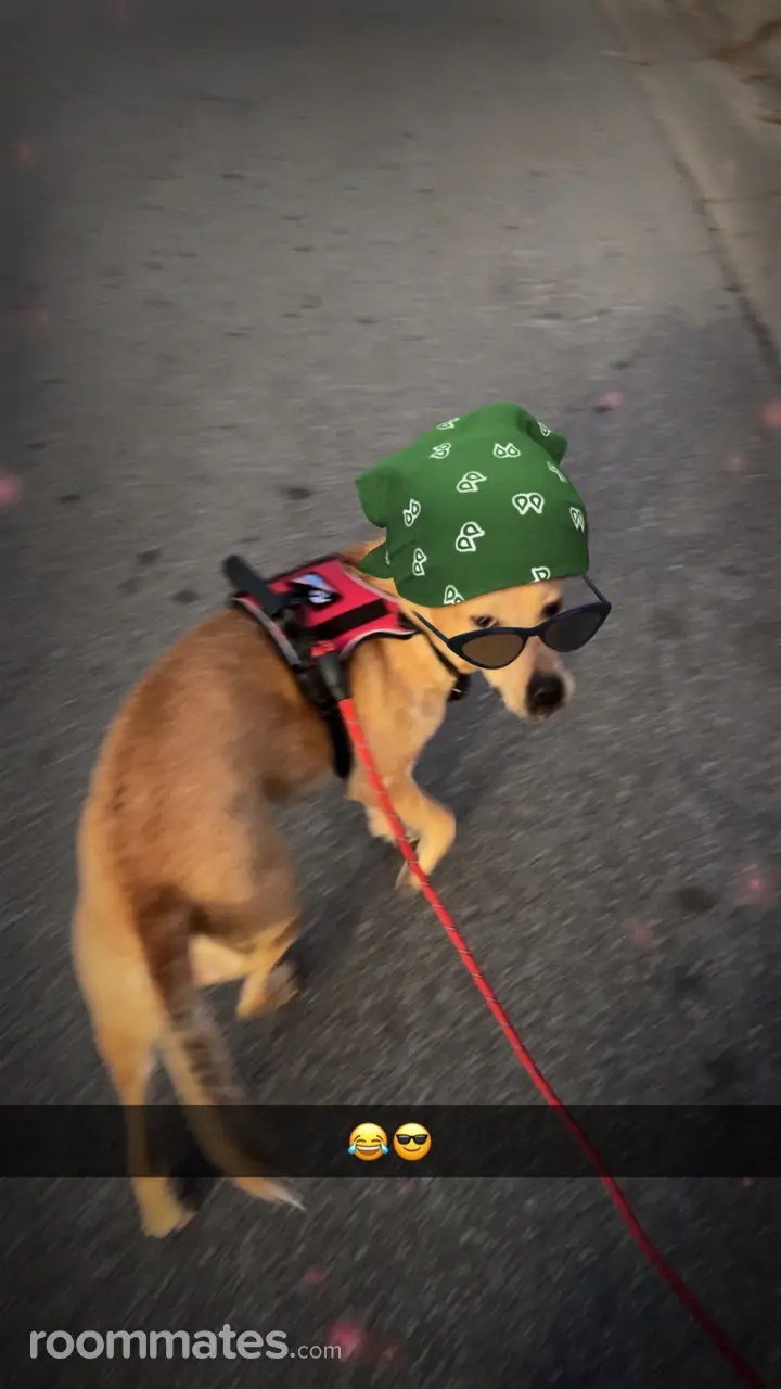 Profile photo 1 of 1