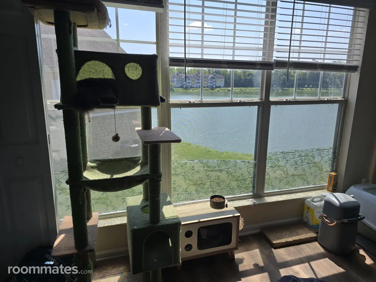 Profile photo 5 of 15