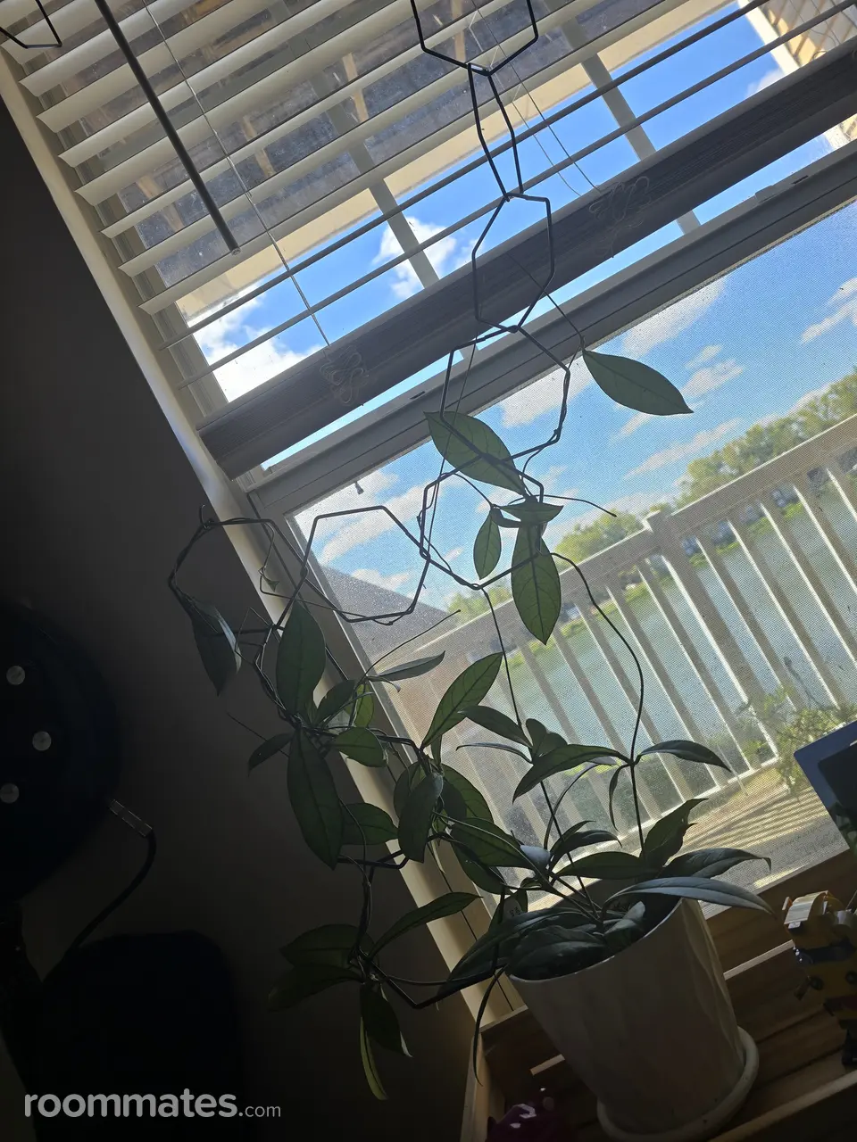 Profile photo 4 of 15