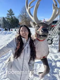 Roommate looking Loves Park, IL, $700