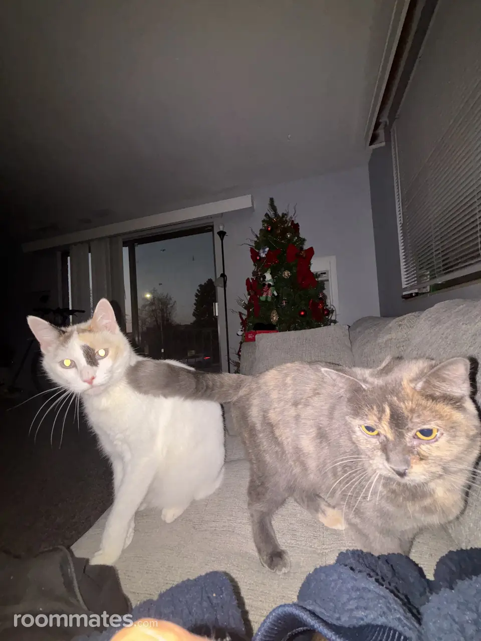 Profile photo 6 of 10