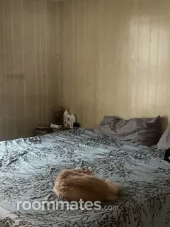 Room for rent in Roanoke, VA $500, house