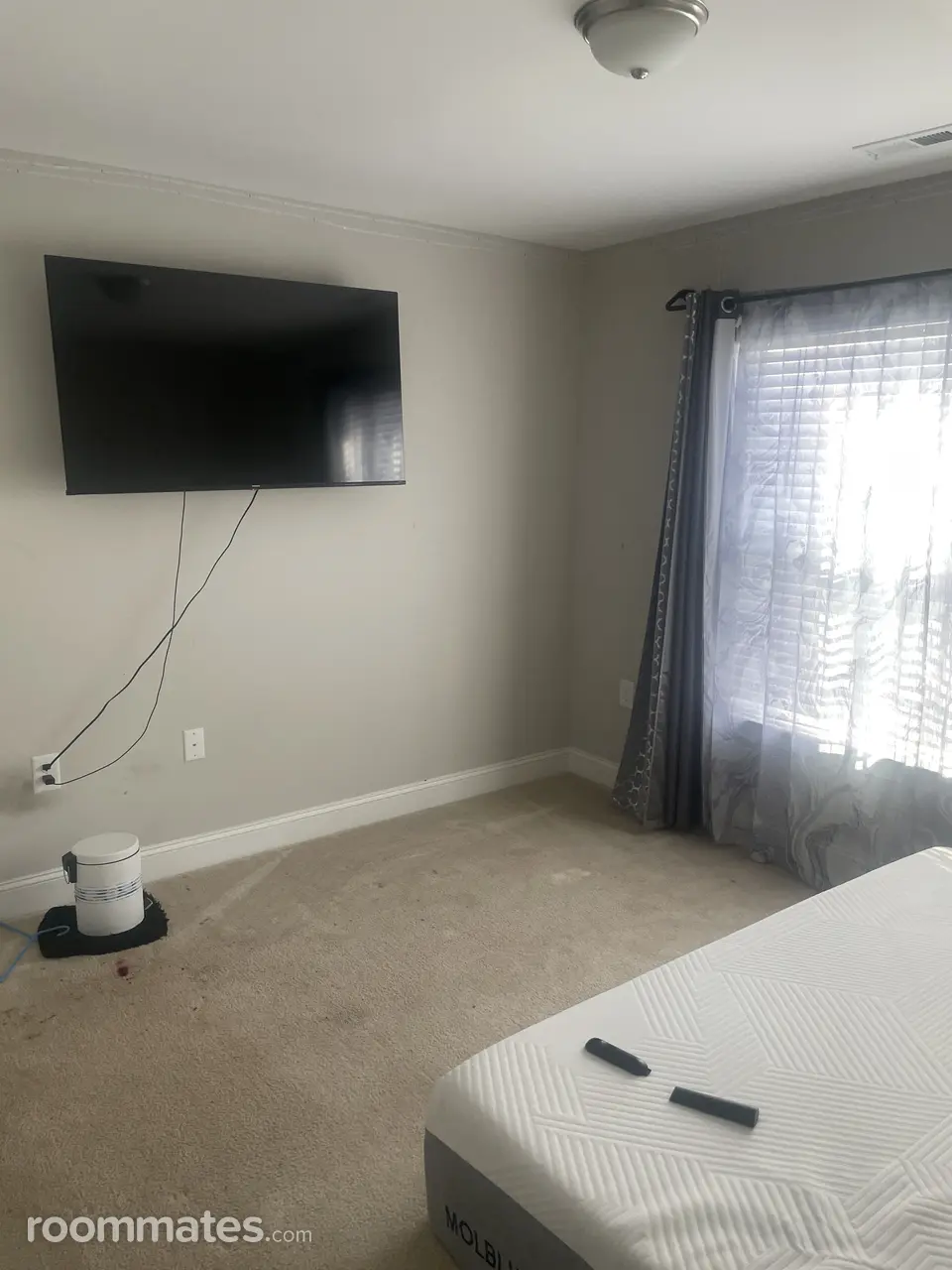 Profile photo 2 of 8