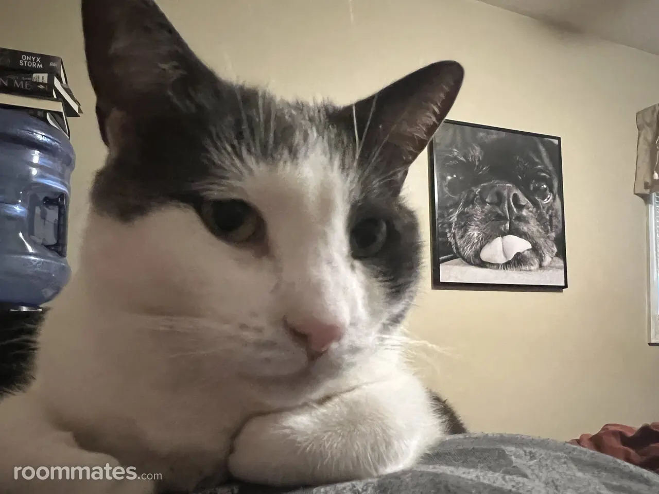 Profile photo 6 of 6