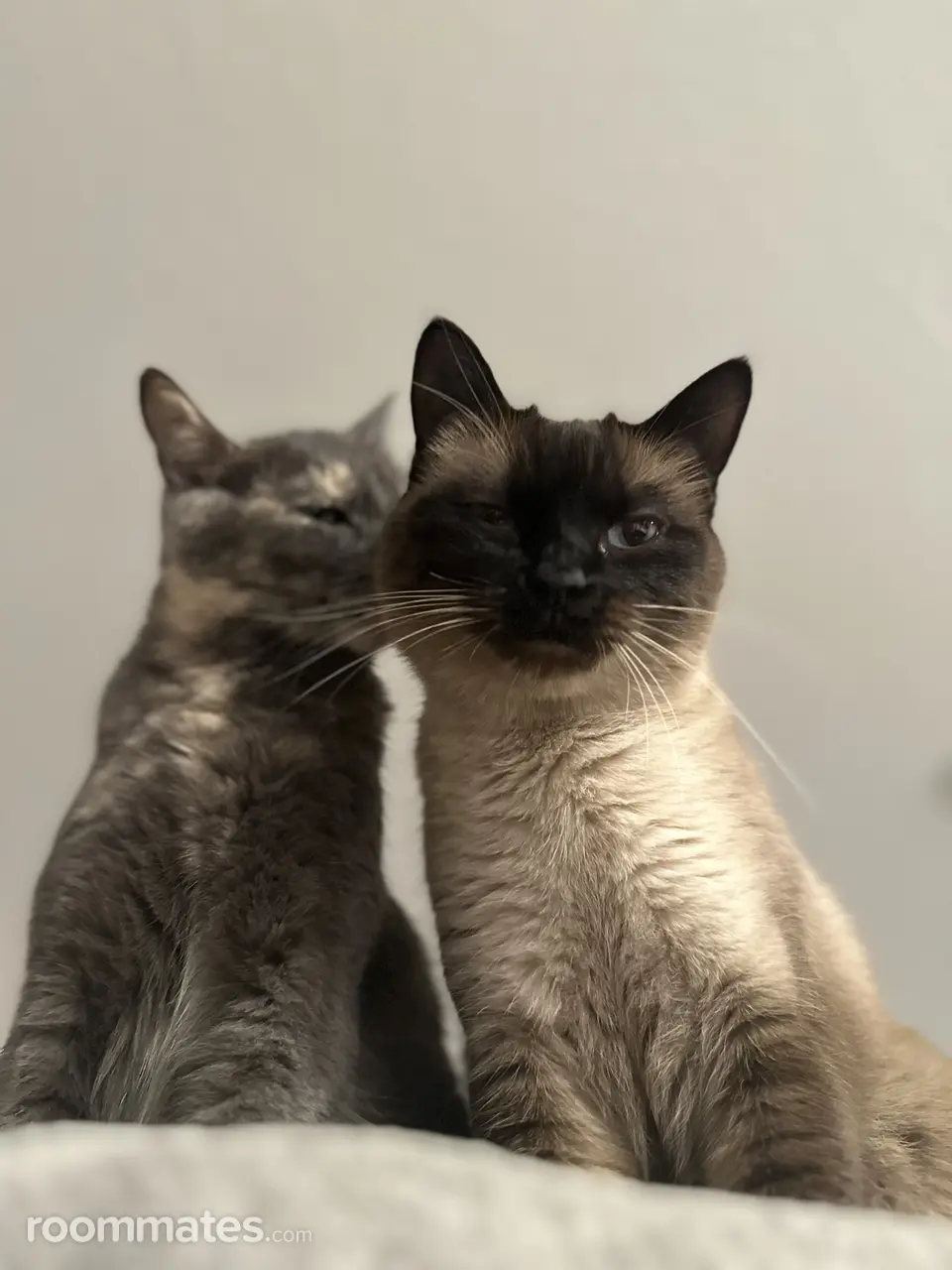 Profile photo 7 of 11