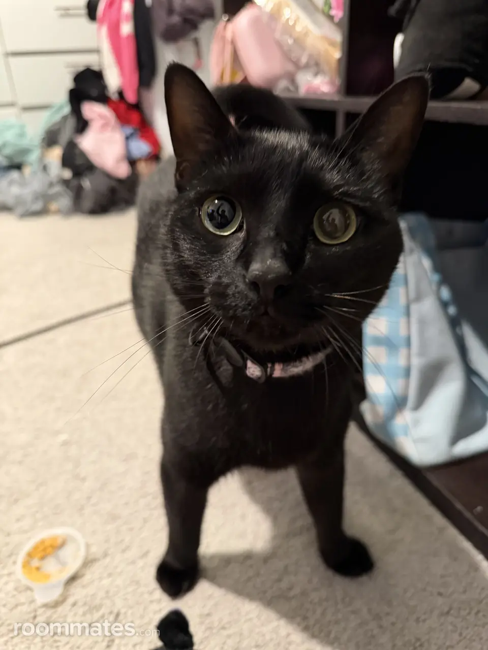 Profile photo 9 of 11