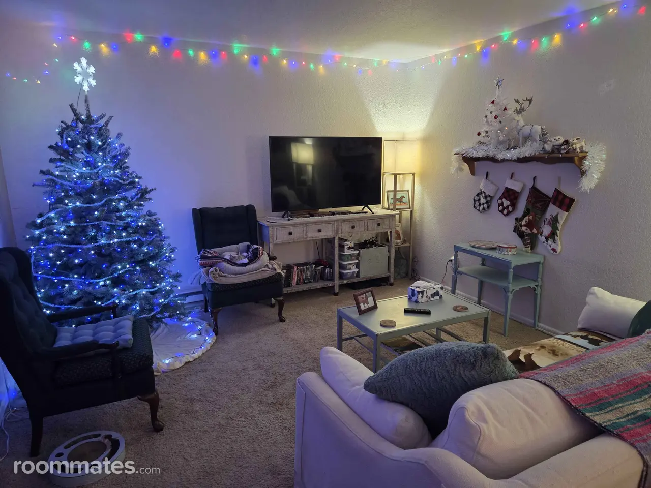 Profile photo 9 of 11