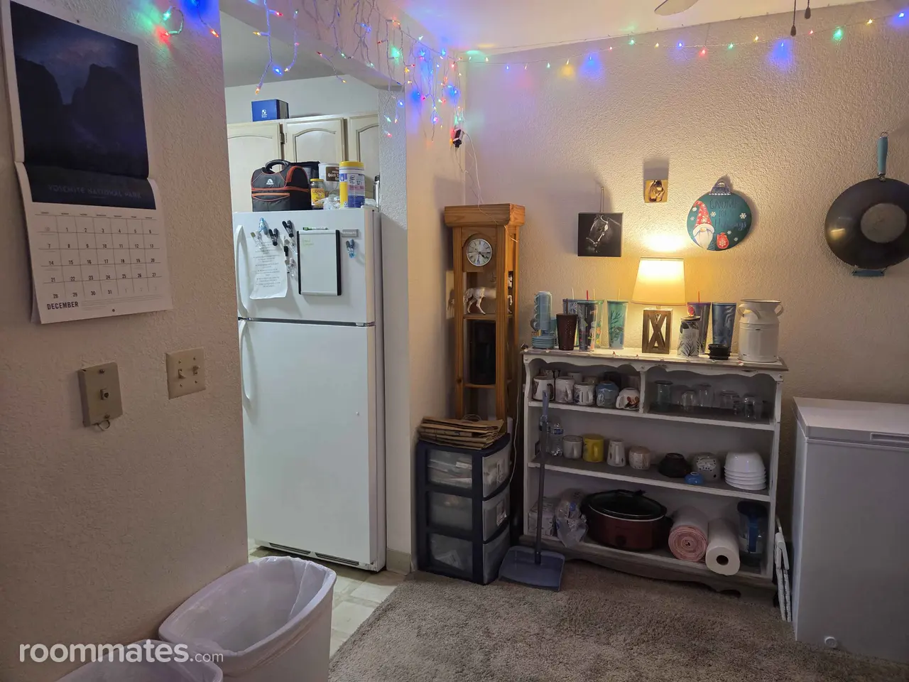 Profile photo 8 of 11