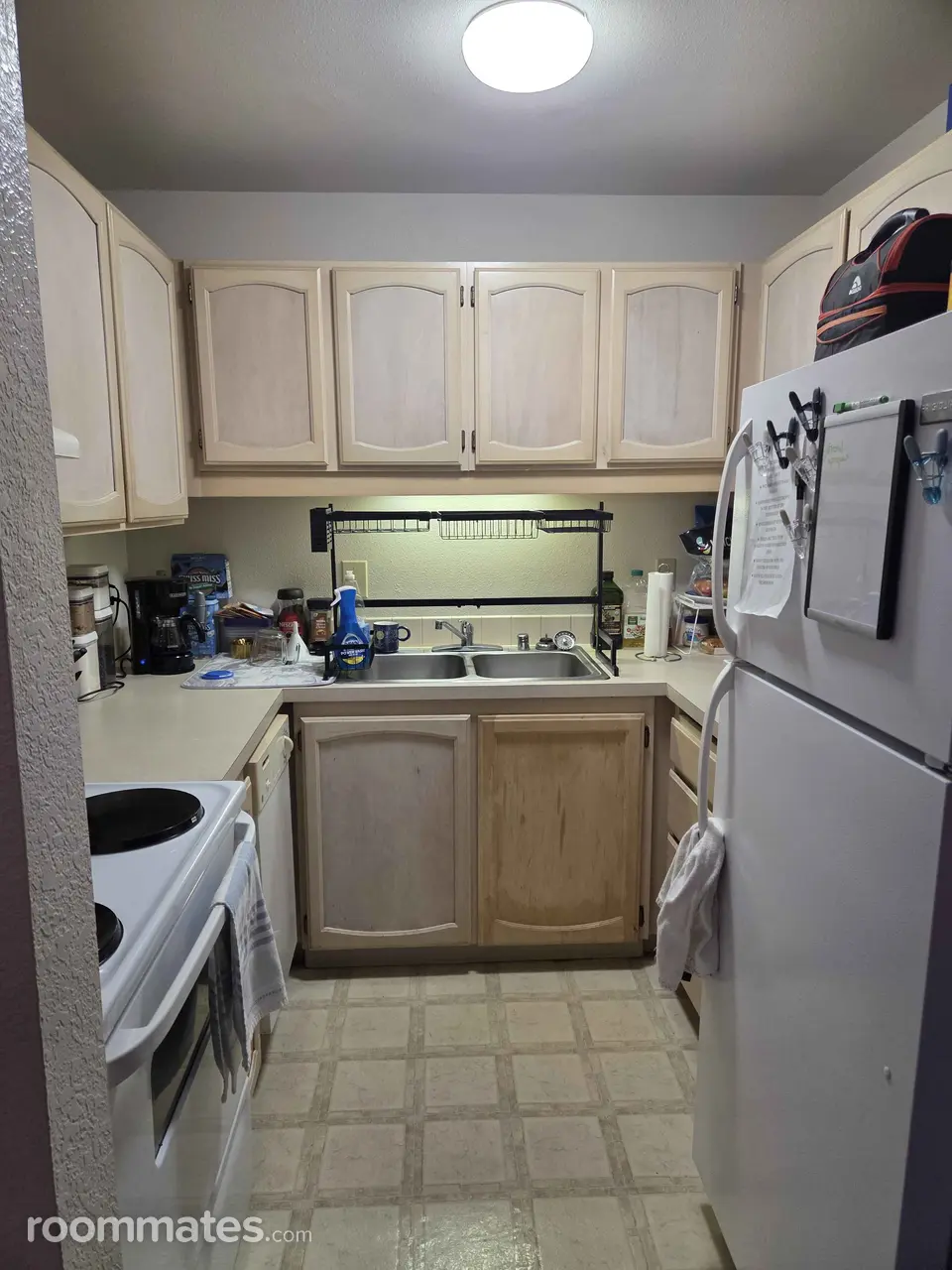 Profile photo 5 of 11