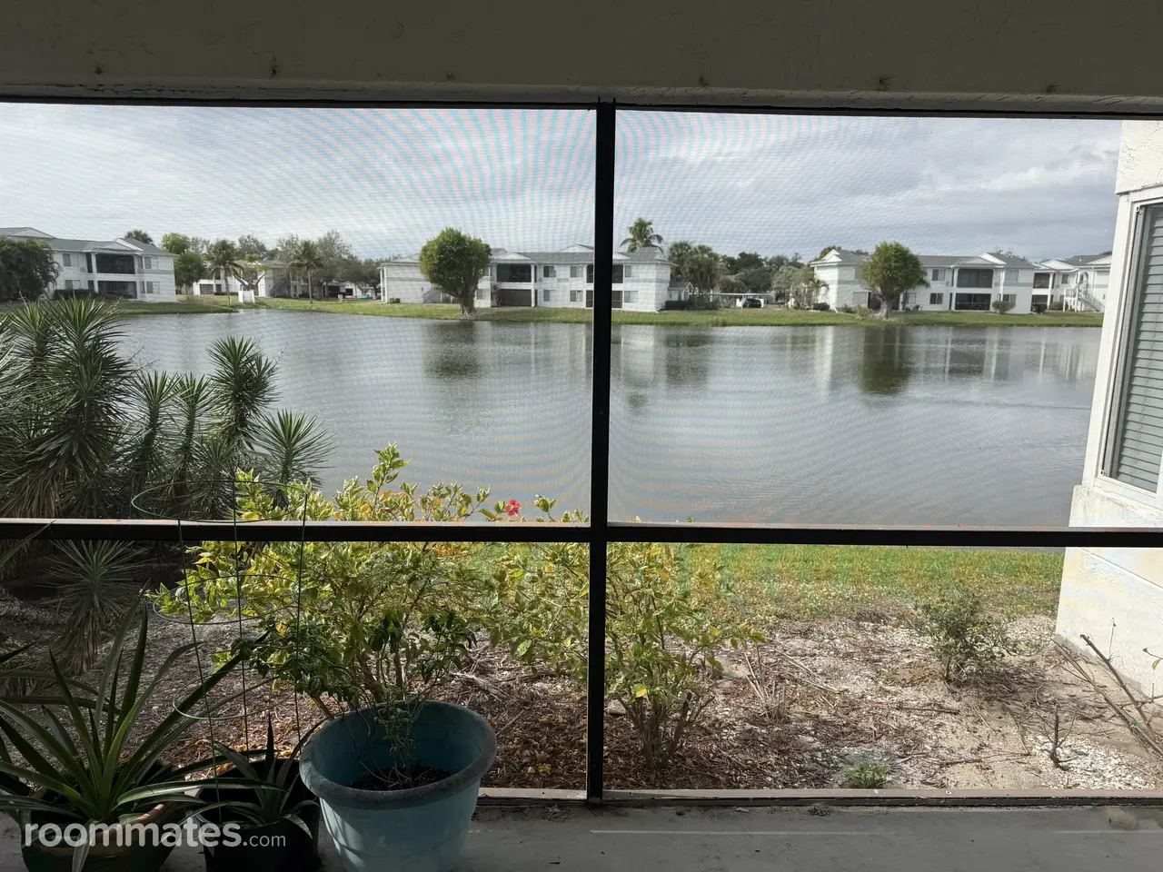 Profile photo 8 of 12