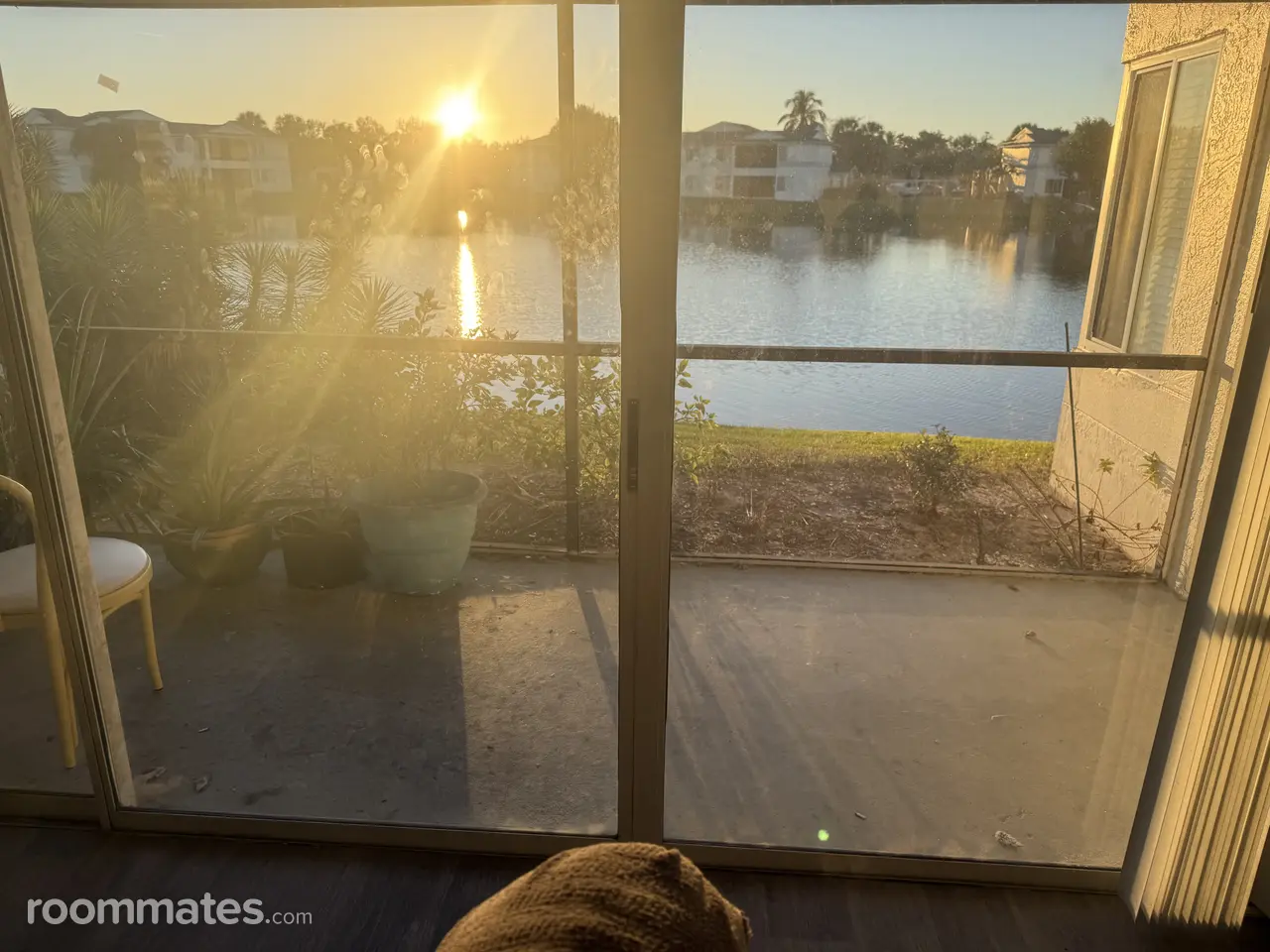 Profile photo 4 of 12