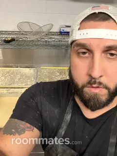 Roommate looking Rochester, NY, $600