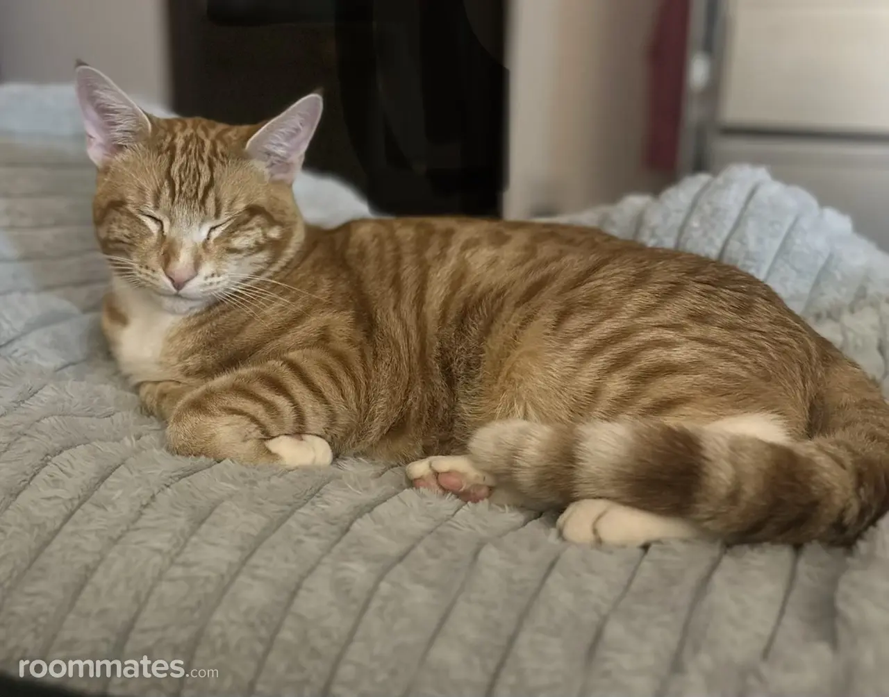 Profile photo 9 of 11