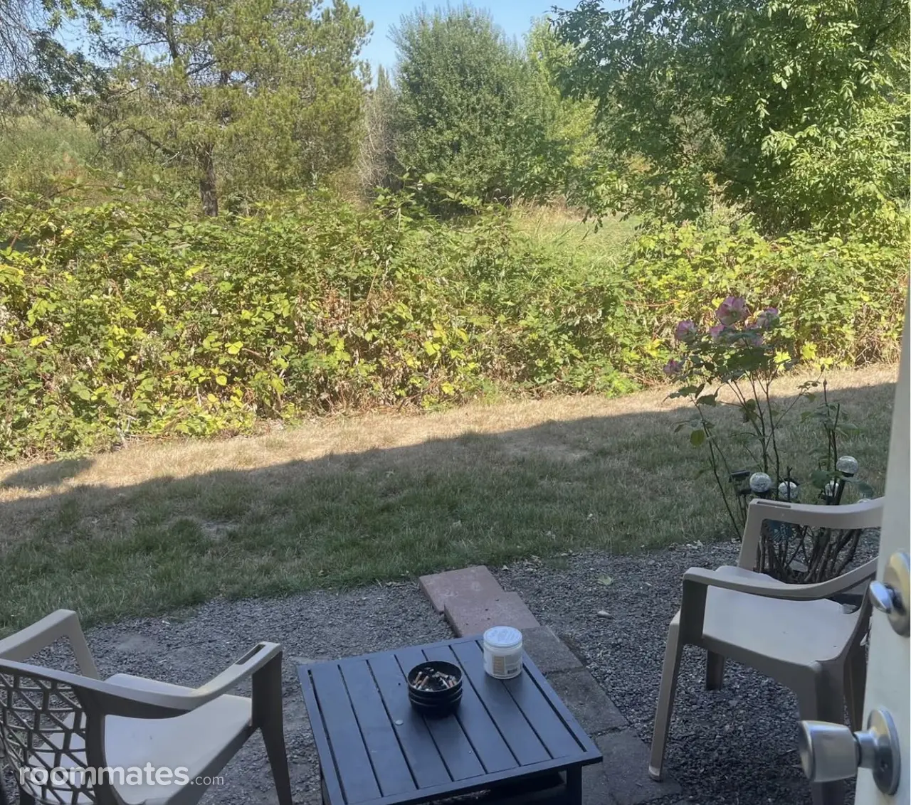 Profile photo 8 of 11