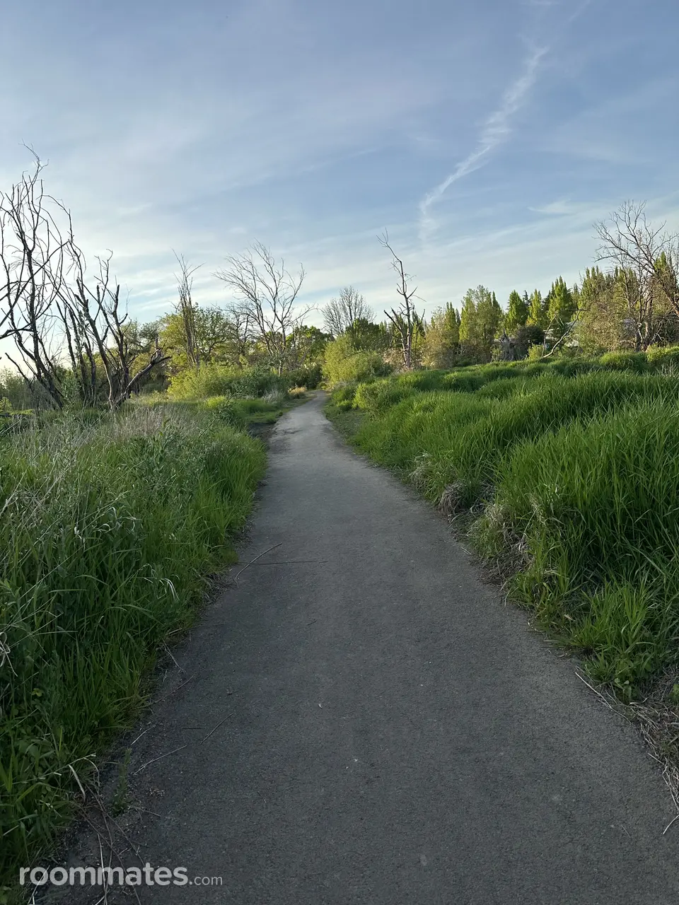 Profile photo 7 of 11