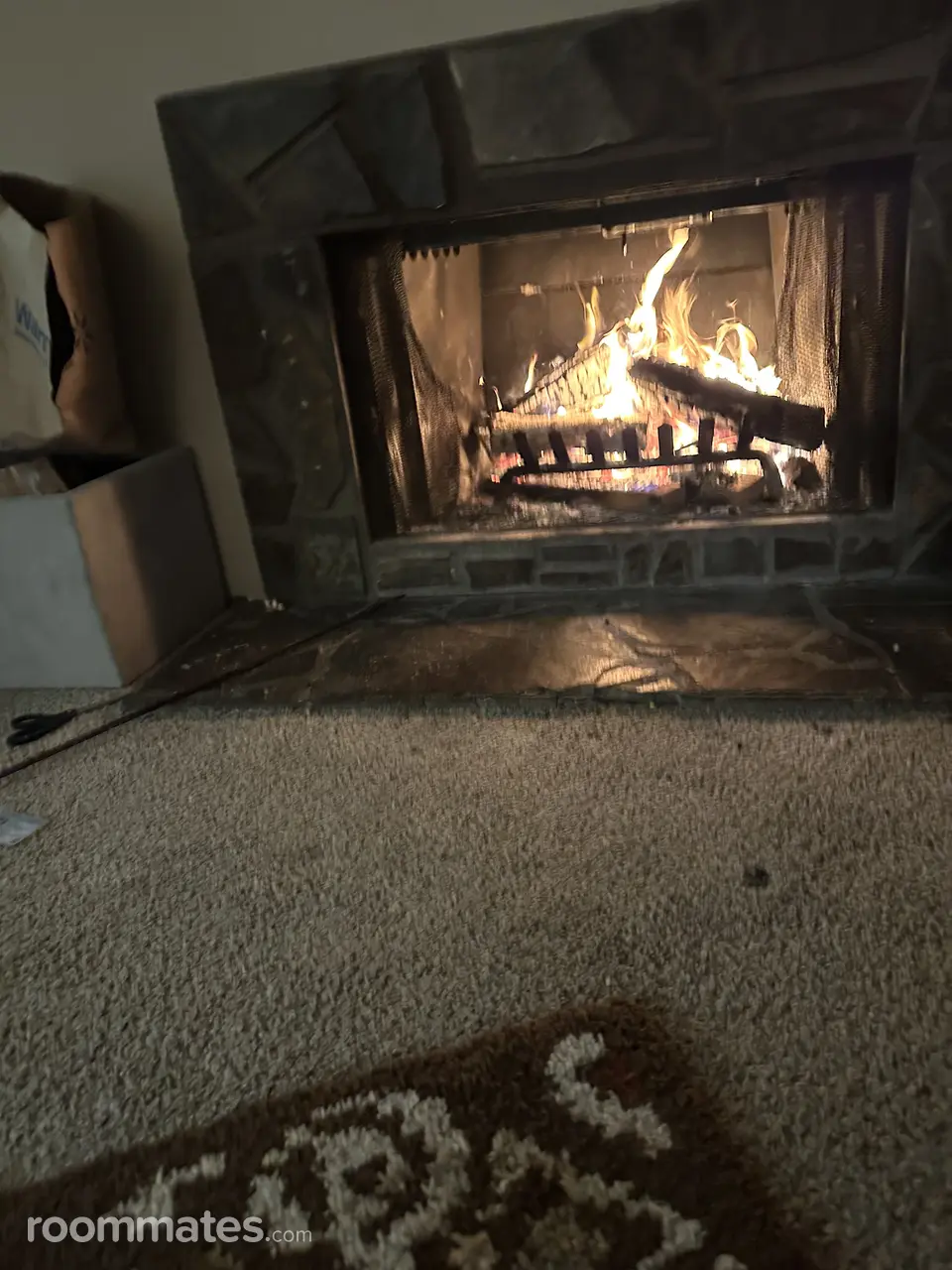 Profile photo 5 of 11