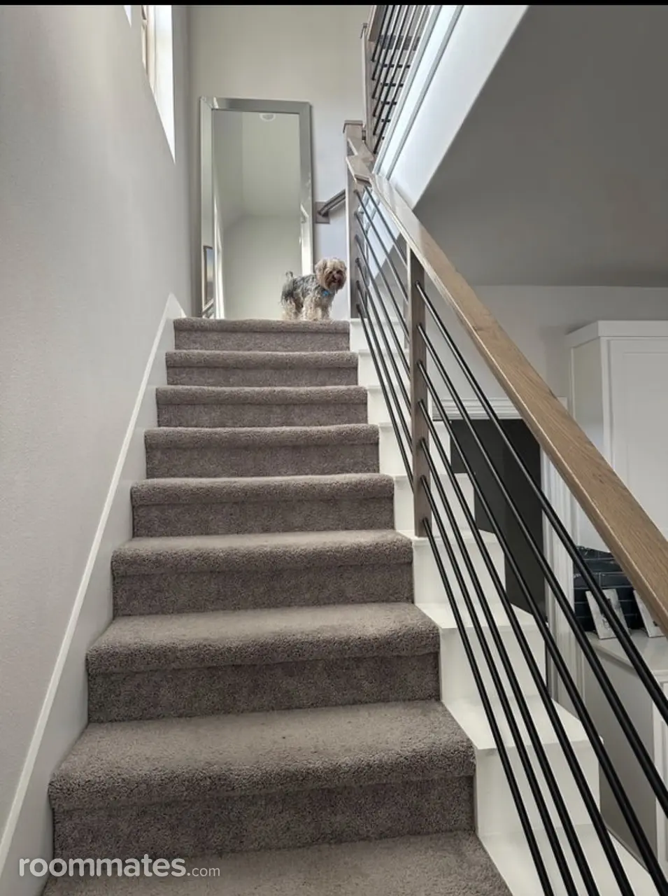 Profile photo 6 of 8