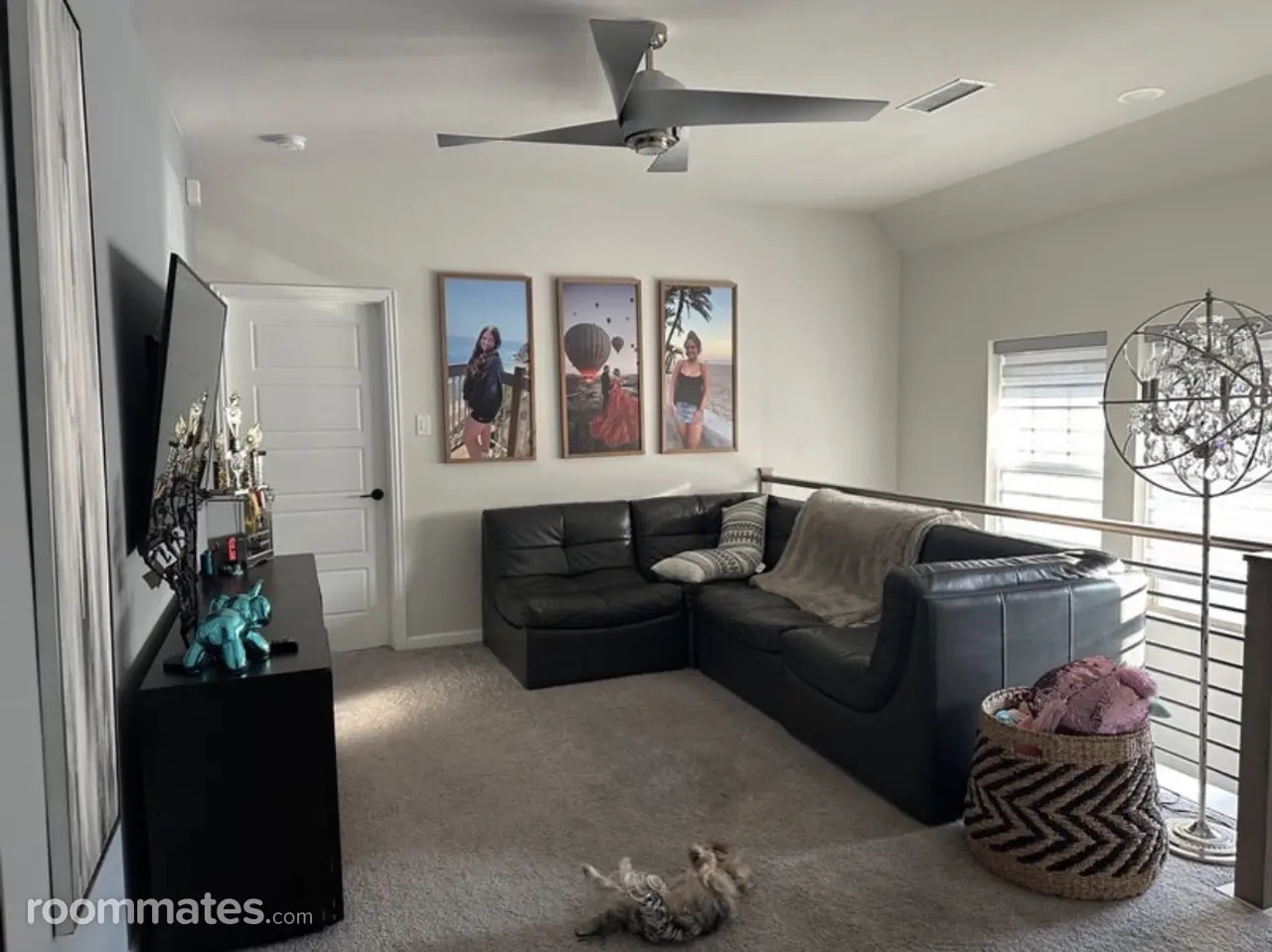 Profile photo 1 of 8