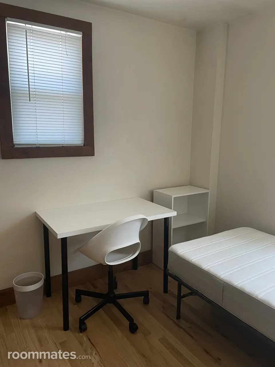 Profile photo 7 of 11