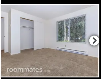 Room for rent in Olympia, WA $775, apartment