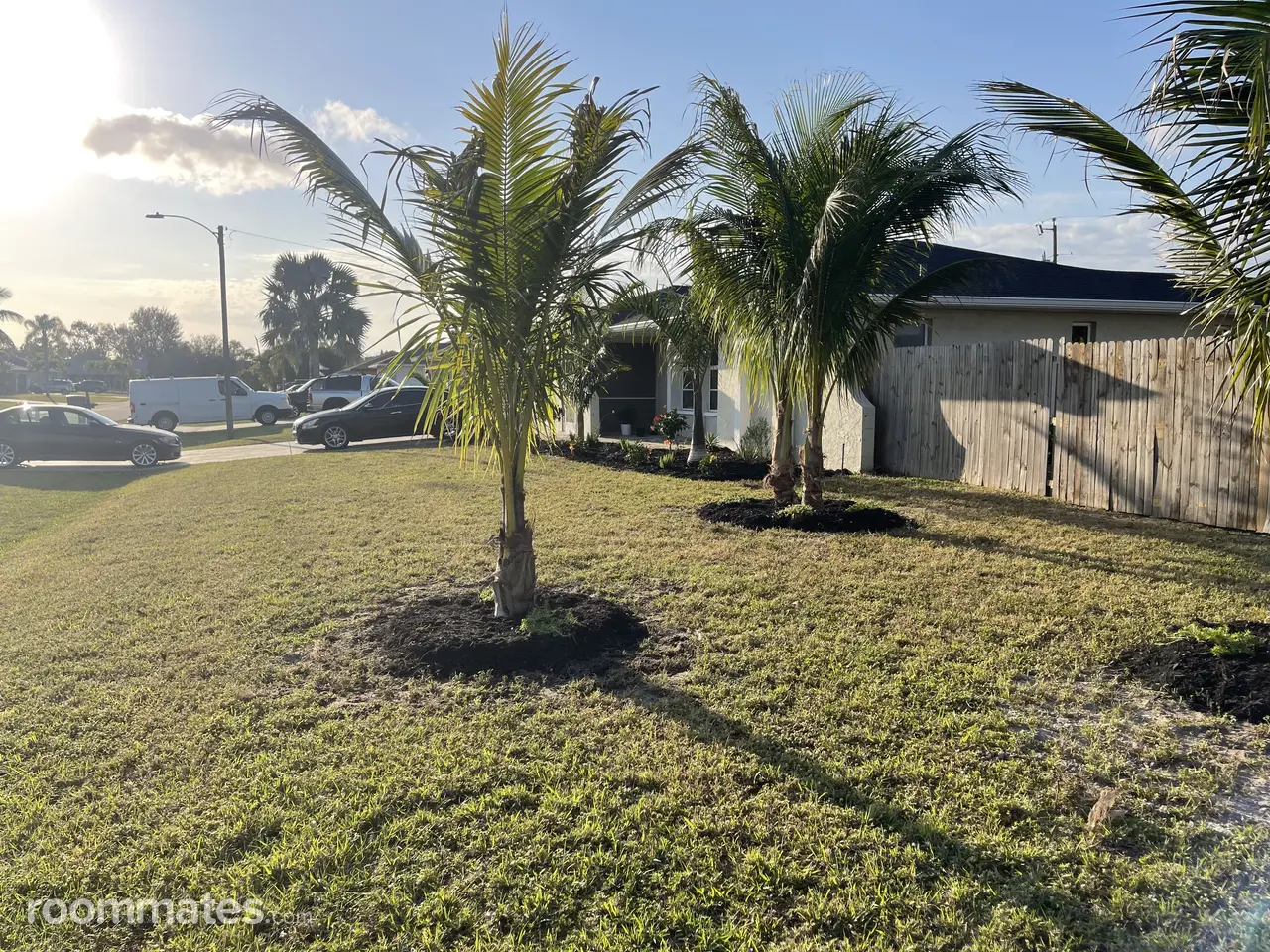 Profile photo 4 of 5