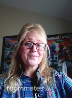 Roommate looking Milwaukee, WI, $800