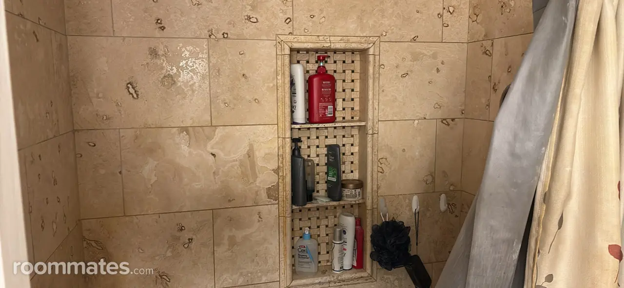 Profile photo 2 of 11