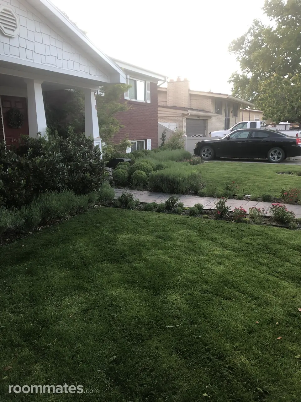 Profile photo 6 of 10