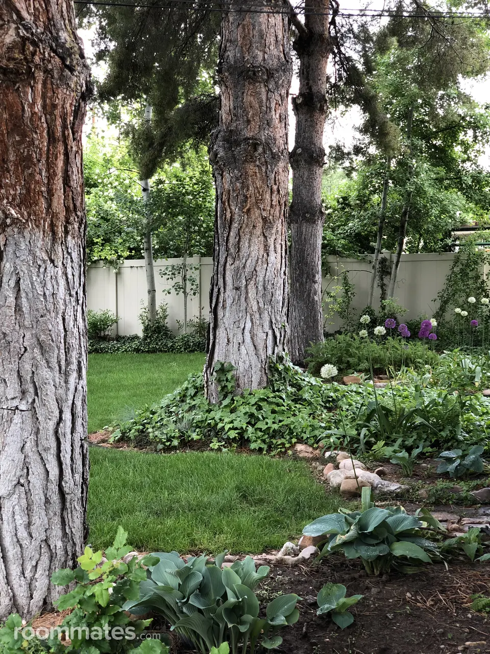 Profile photo 8 of 10