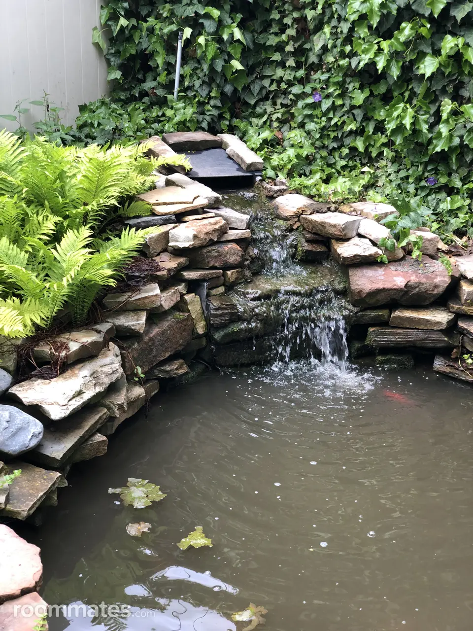 Profile photo 7 of 10