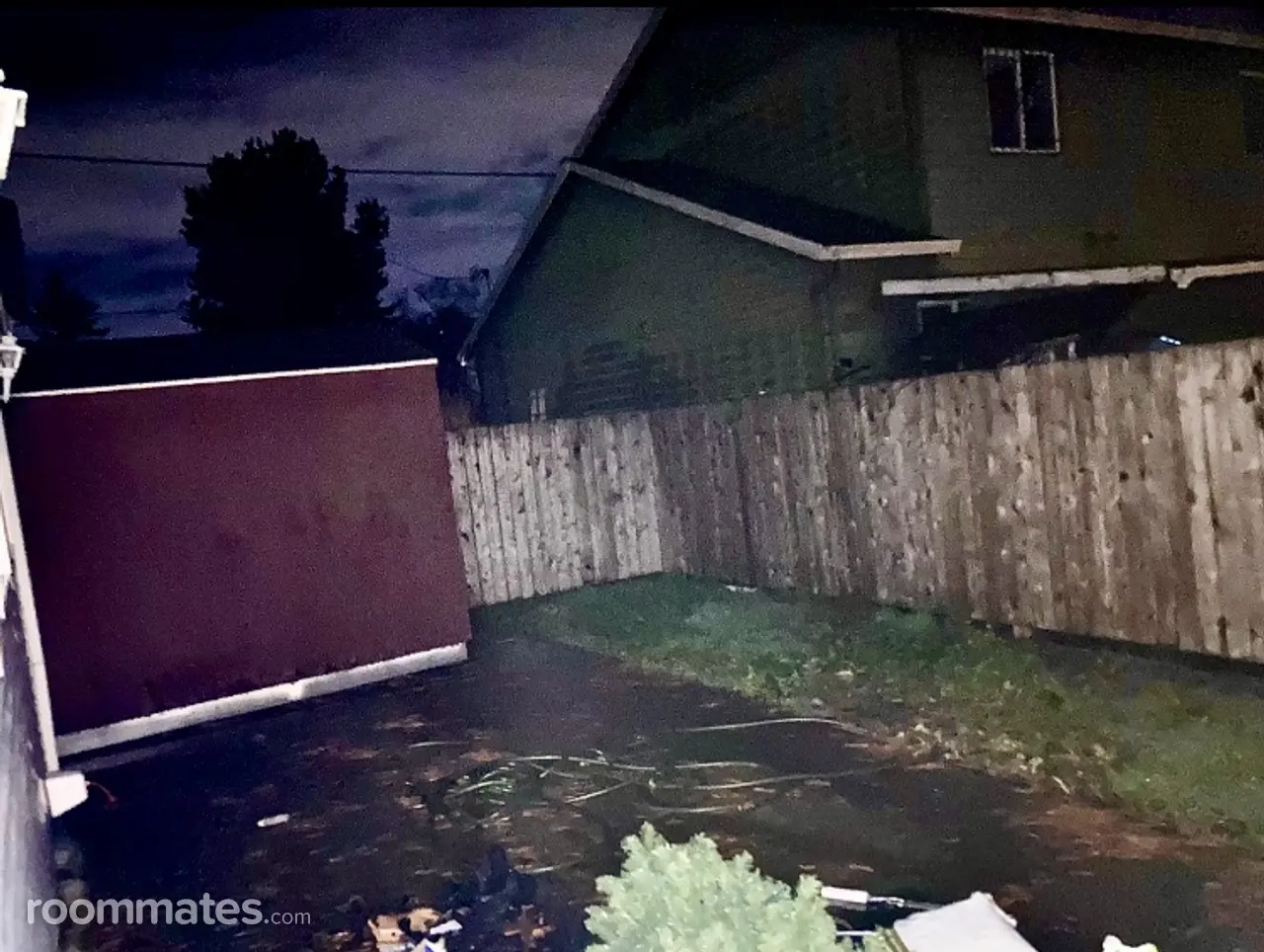 Profile photo 8 of 10