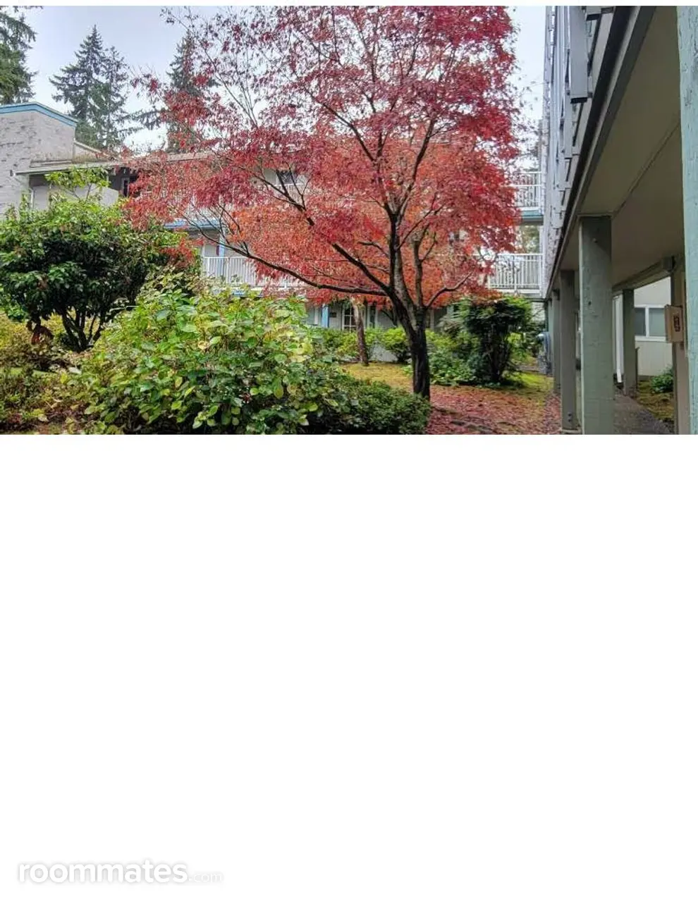 Profile photo 4 of 7