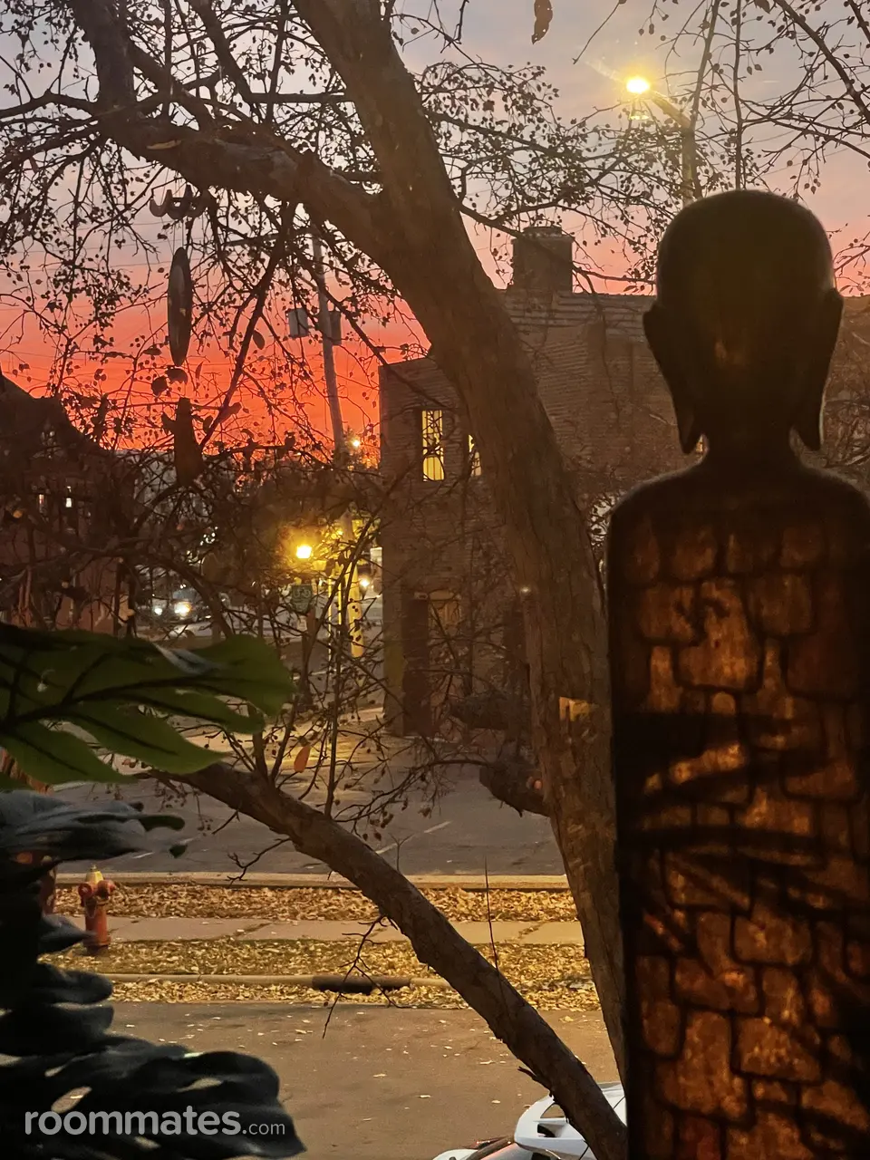 Profile photo 2 of 4