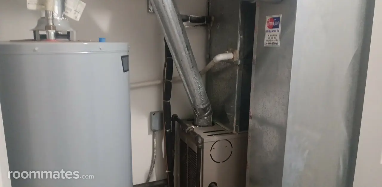 Profile photo 9 of 11