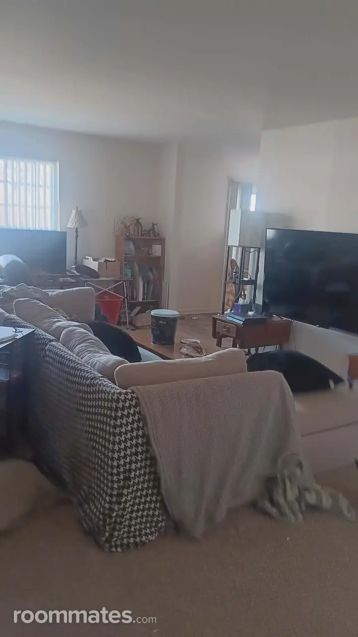 Profile photo 8 of 11