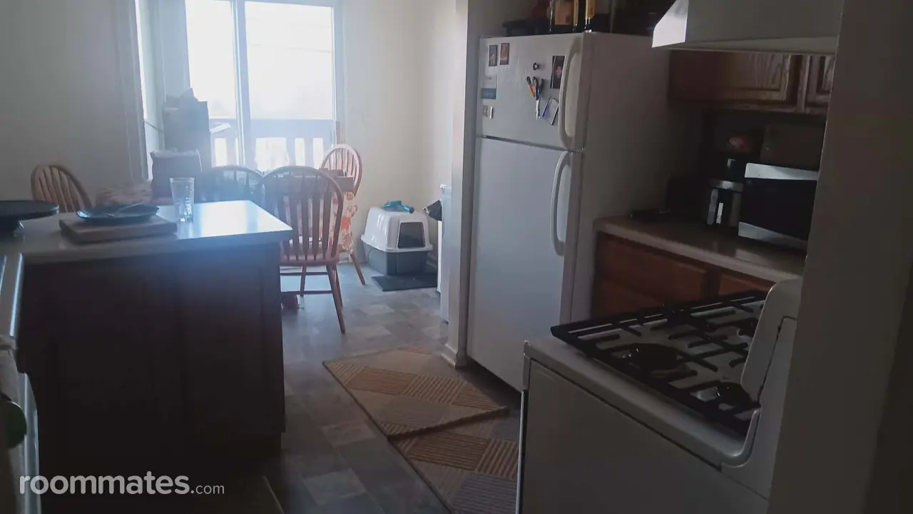 Profile photo 10 of 11