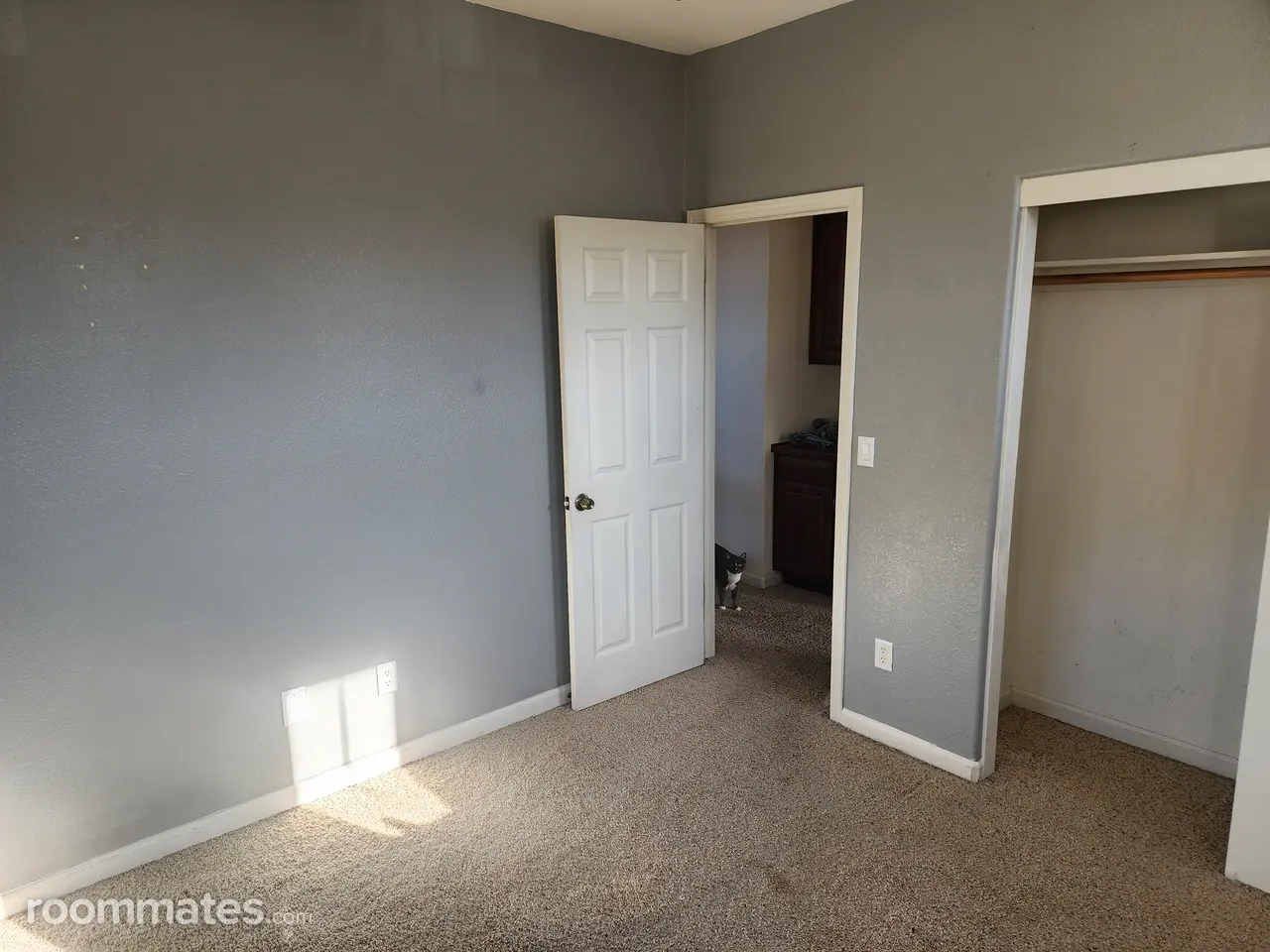 Profile photo 2 of 4