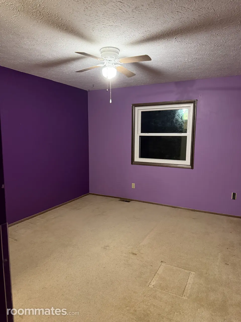 Profile photo 3 of 5