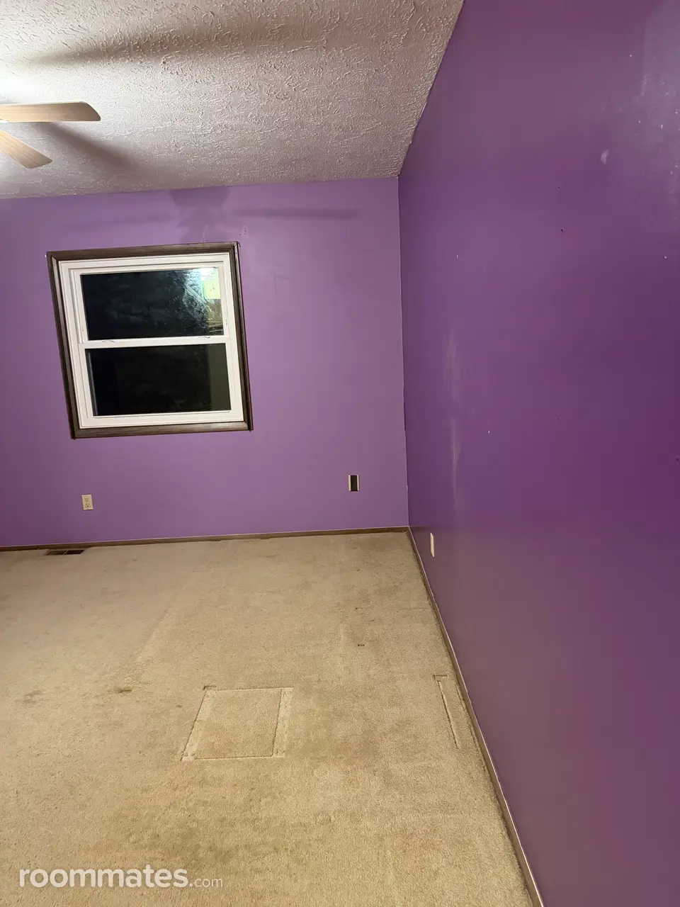 Profile photo 1 of 5