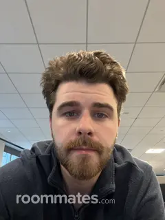 Roommate looking Chicago, IL, $1300