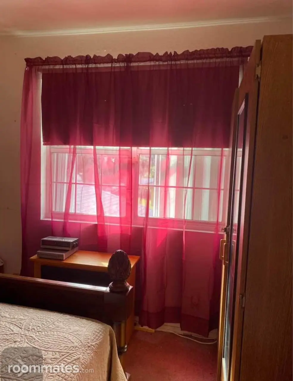 Profile photo 4 of 5