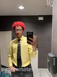 Roommate looking Saginaw, MI, $600