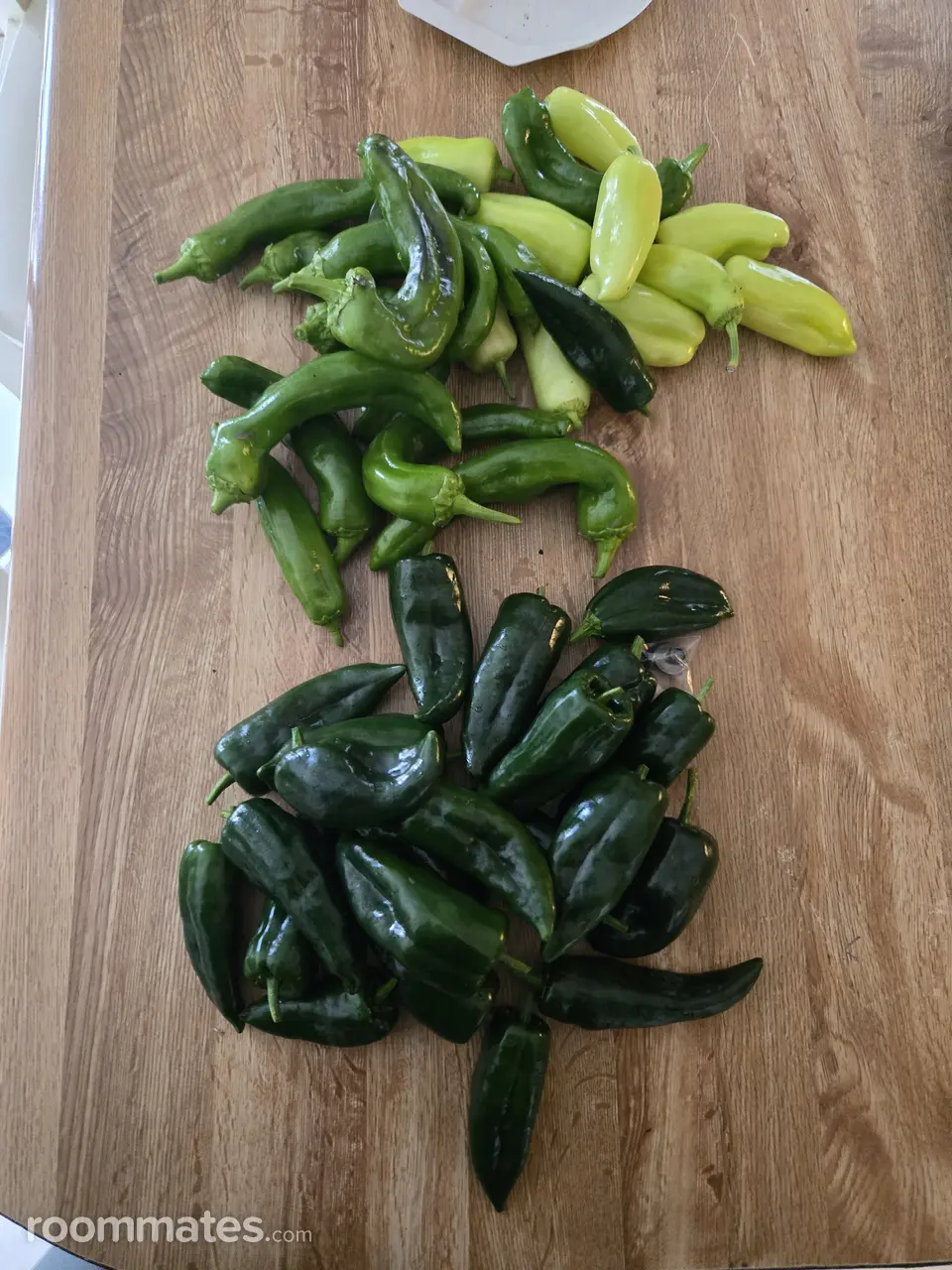 Profile photo 7 of 8