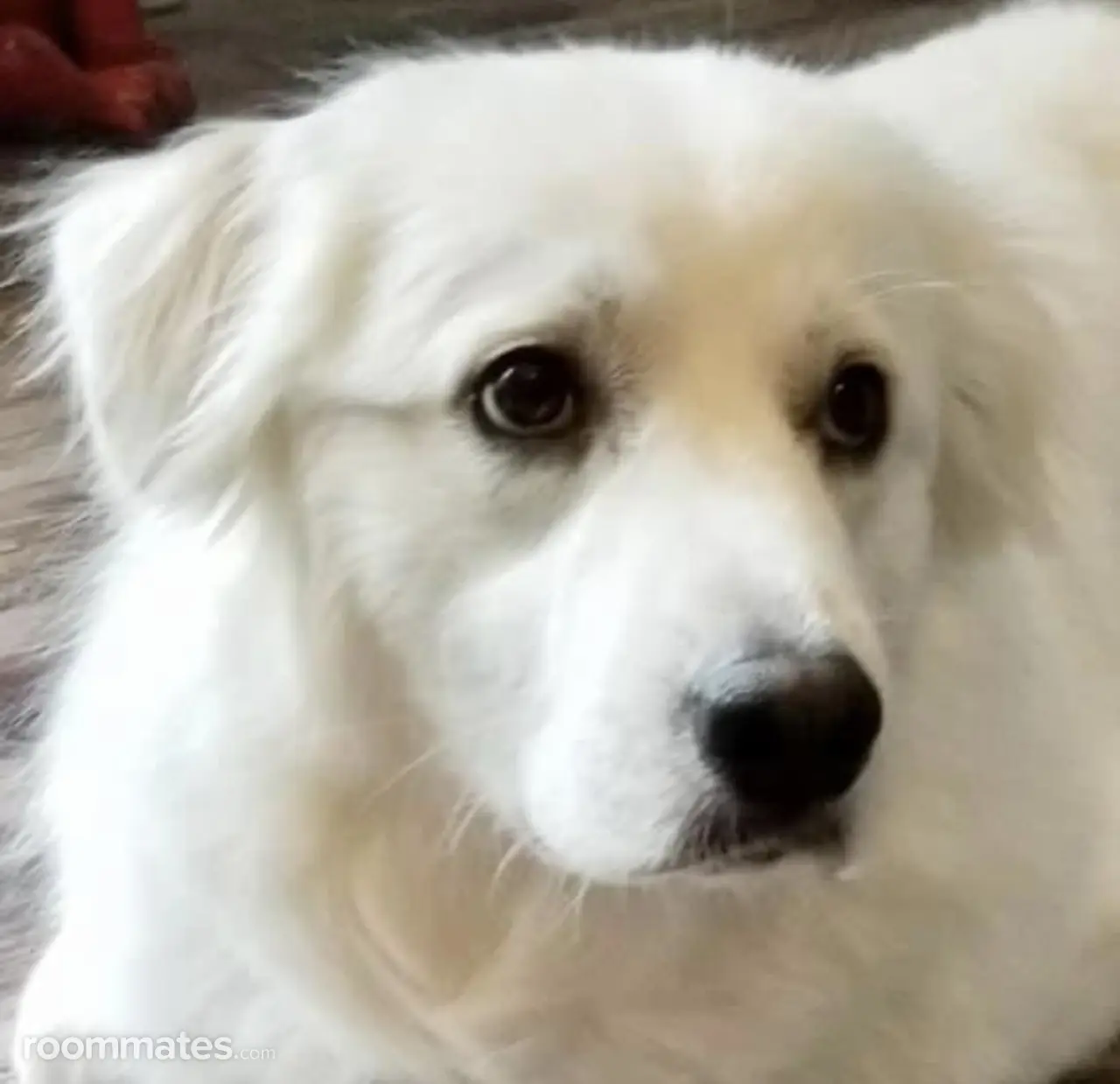 Profile photo 10 of 11