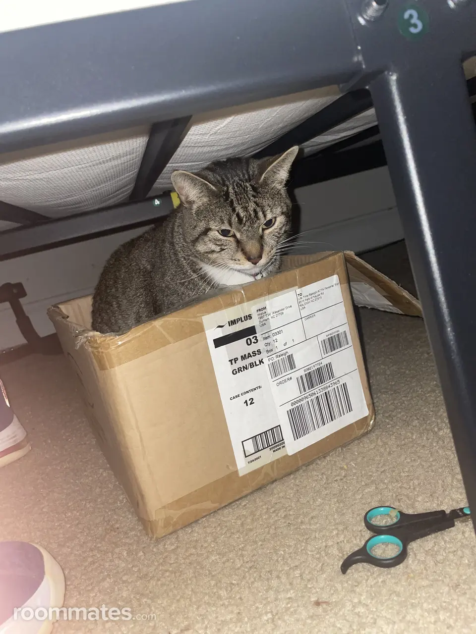 Profile photo 4 of 15