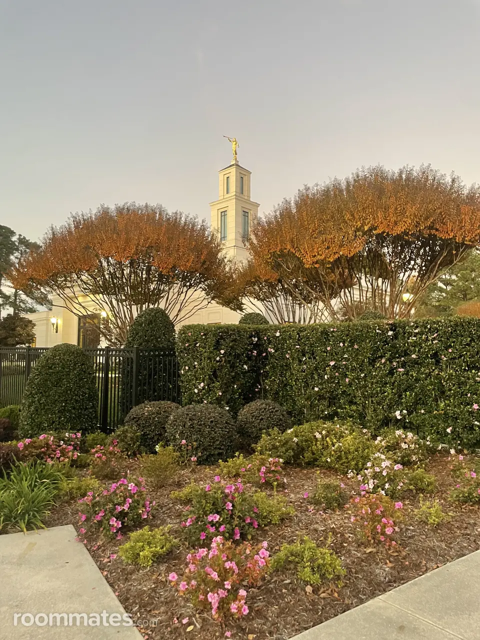 Profile photo 11 of 15