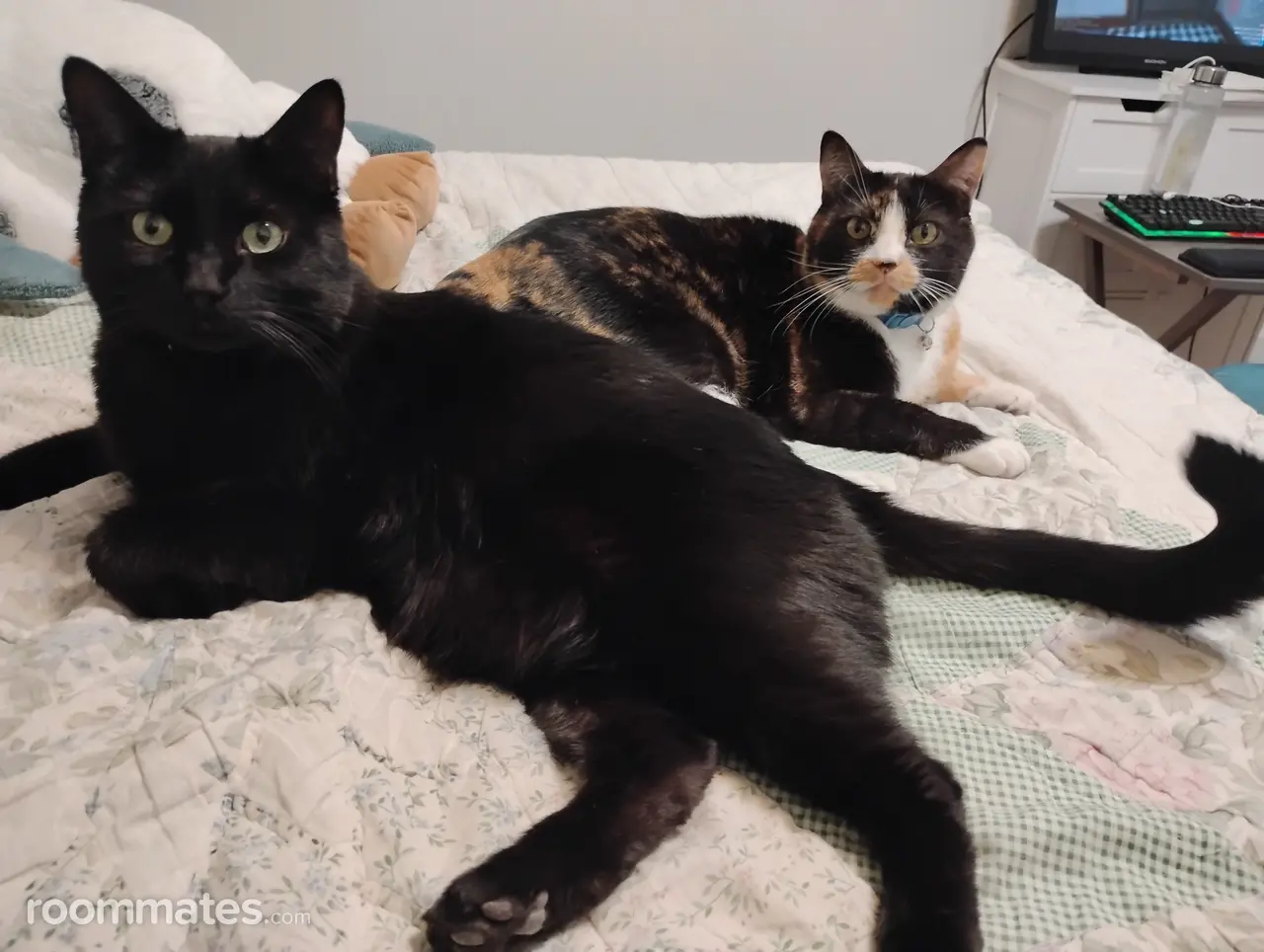 Profile photo 2 of 2